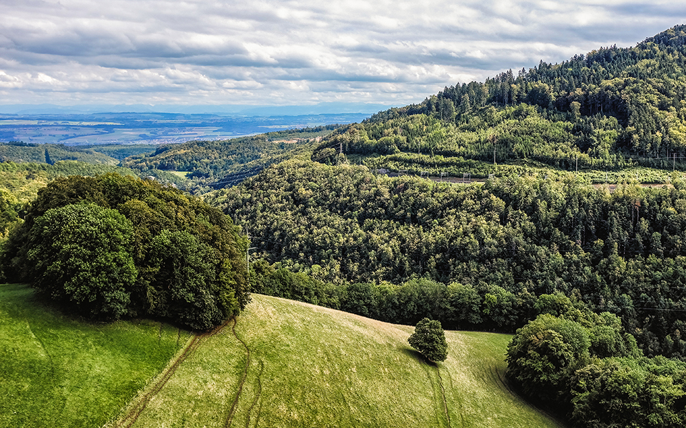 Beaune countryside hills Beaune France