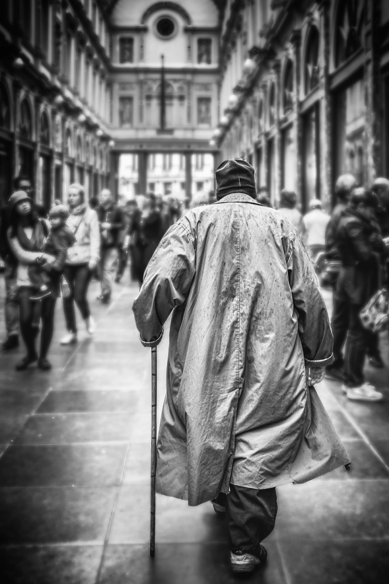 Brussels Grand Place lion Brussels Belgium