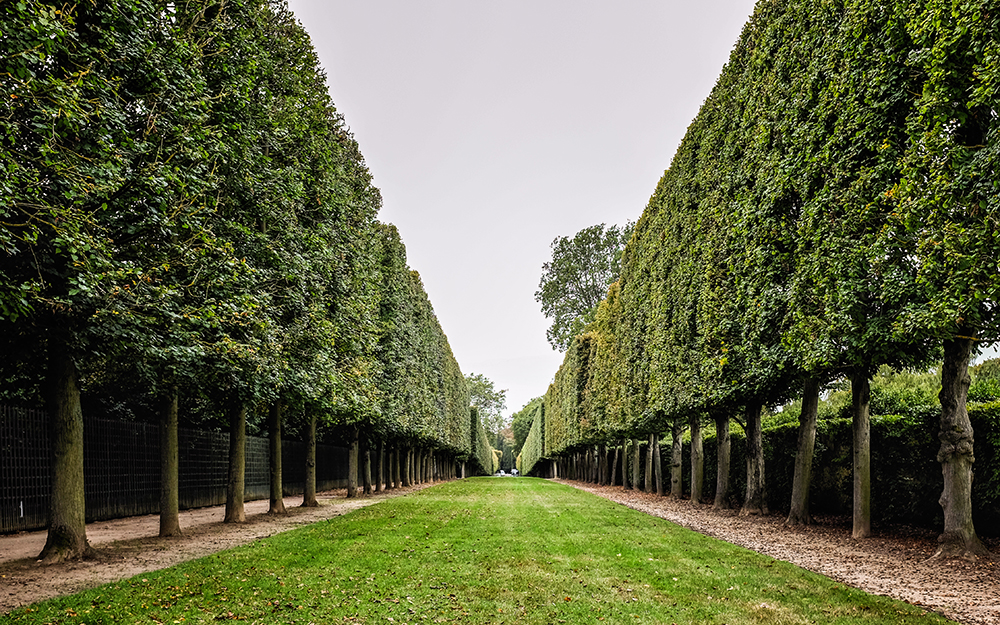 Paris Versailles allee Paris France