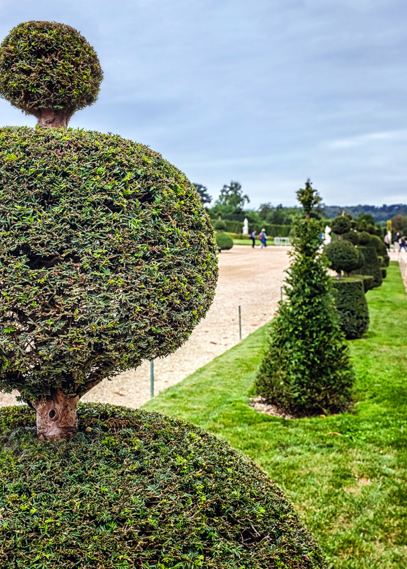 Paris Versailles garden topiary Paris France