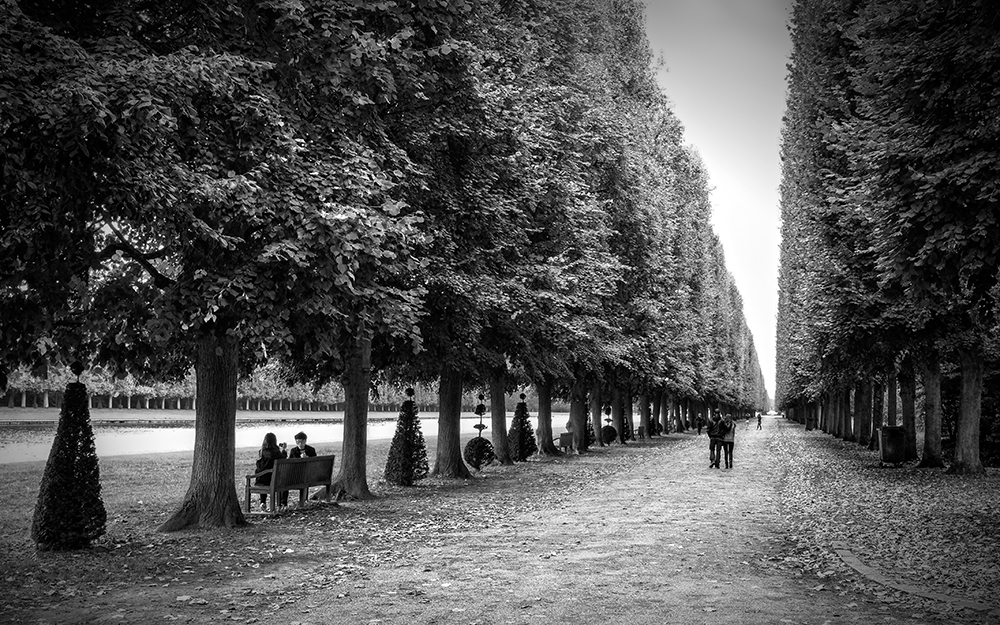 Paris Versailles grove vanishing point Paris France