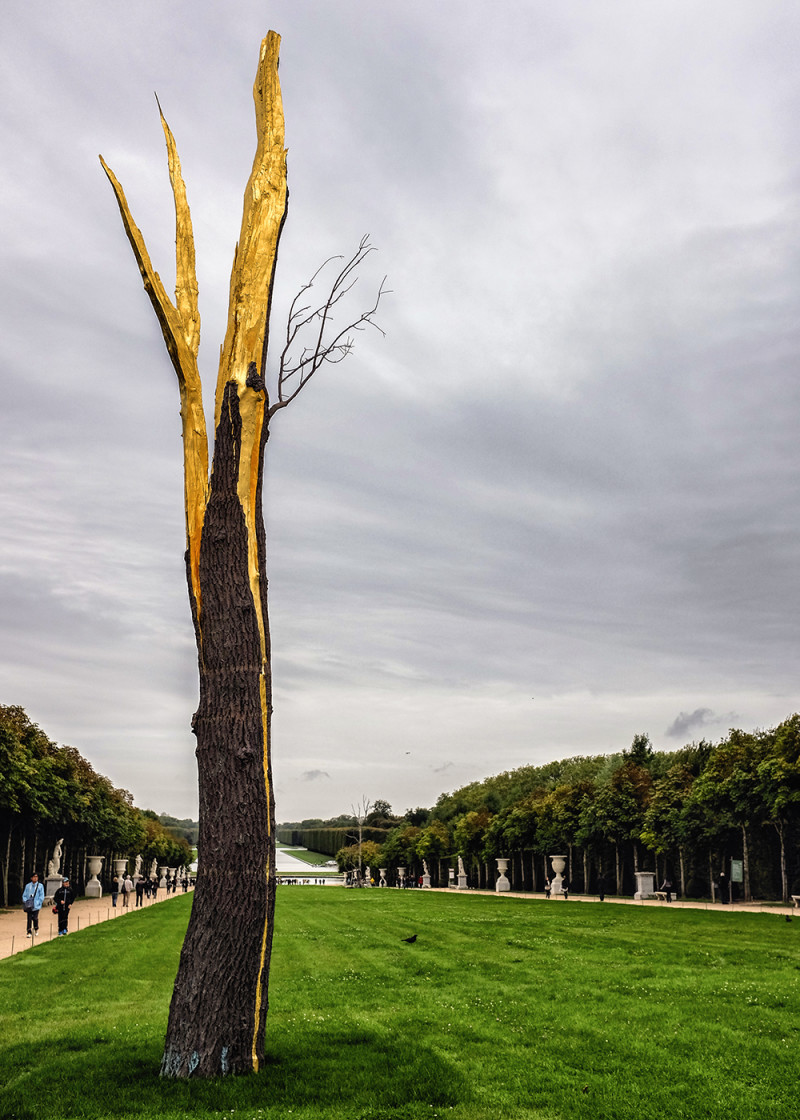 Paris Versailles tree Paris France