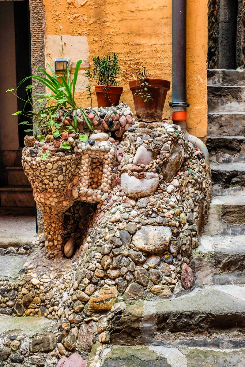 Riomaggiore rock planter Cinque Terre Italy