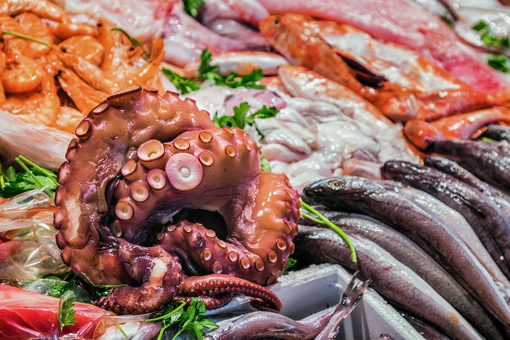 Farmers market seafood Trujillo Spain