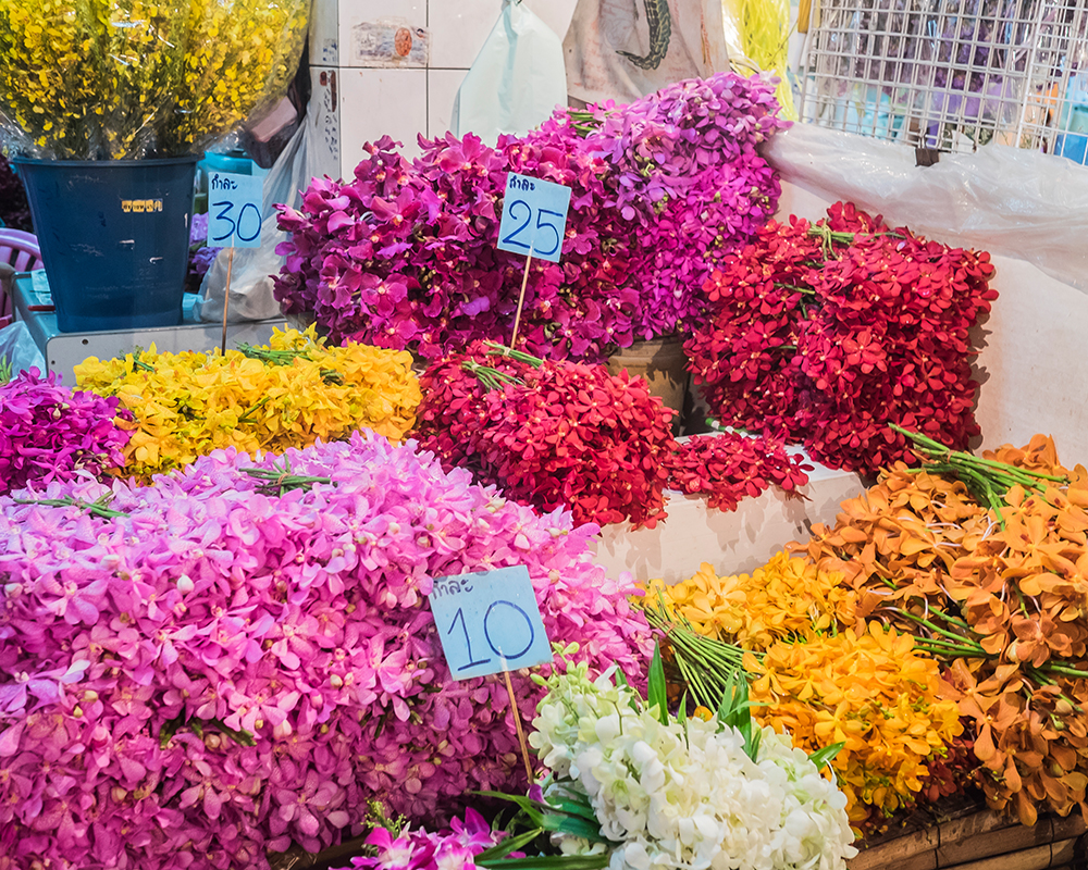 Pak Khlong Talat Flower Market orchids Bangkok Thailand